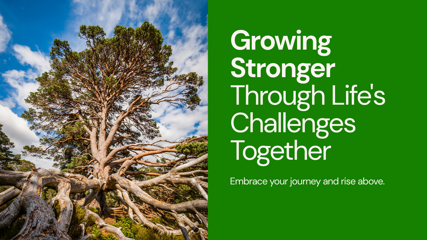 Growing Stronger Through Lifes Challenges Together